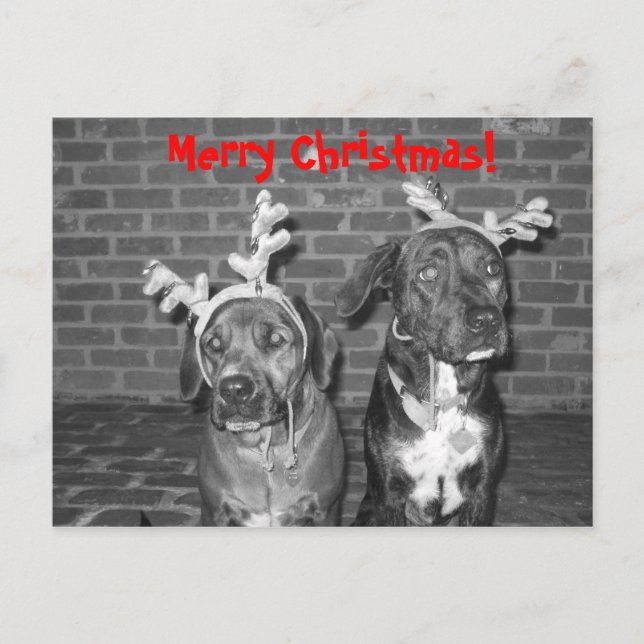 Postal Festiva ¡Feliz Navidad! (Anverso)