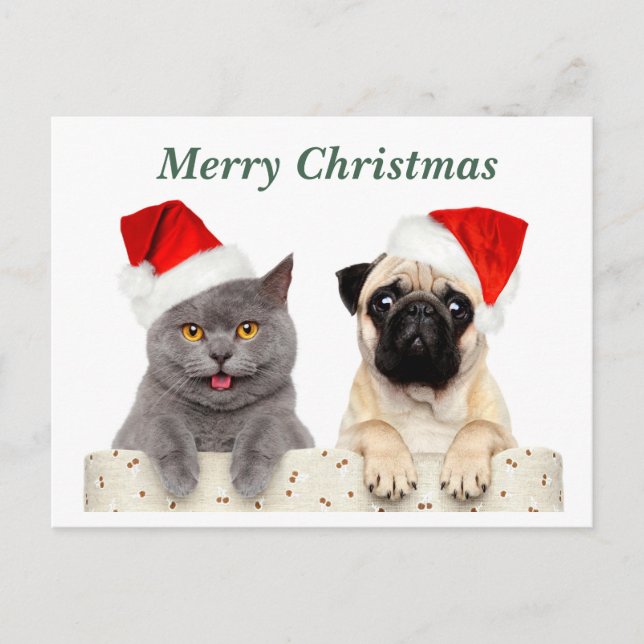 Postal Festiva Feliz Navidad, gato y perro de pug (Anverso)