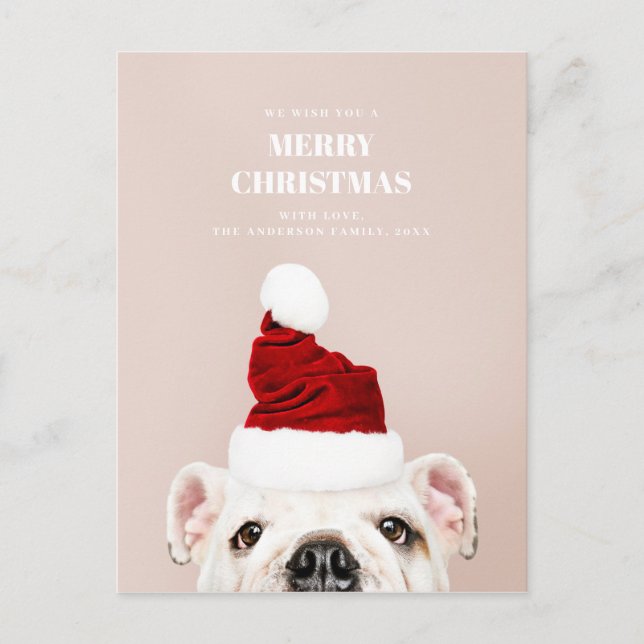Postal Festiva Feliz Navidad. Perro lindo. Animal Santa Claus (Anverso)