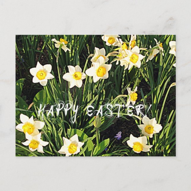 Postal Festiva Feliz Pascua (Anverso)