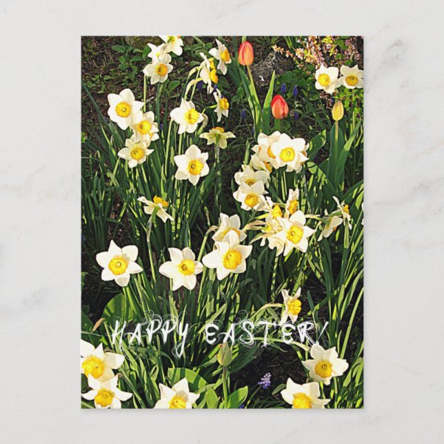 Postal Festiva Feliz Pascua (Anverso)