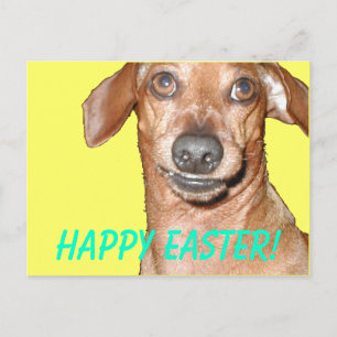 Postal Festiva ¡Feliz Pascua!