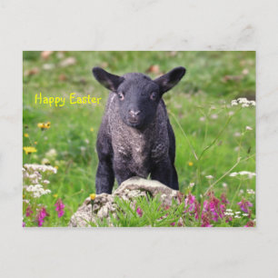 Postal Festiva Feliz Pascua