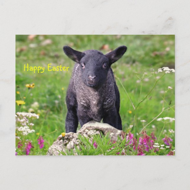 Postal Festiva Feliz Pascua (Anverso)