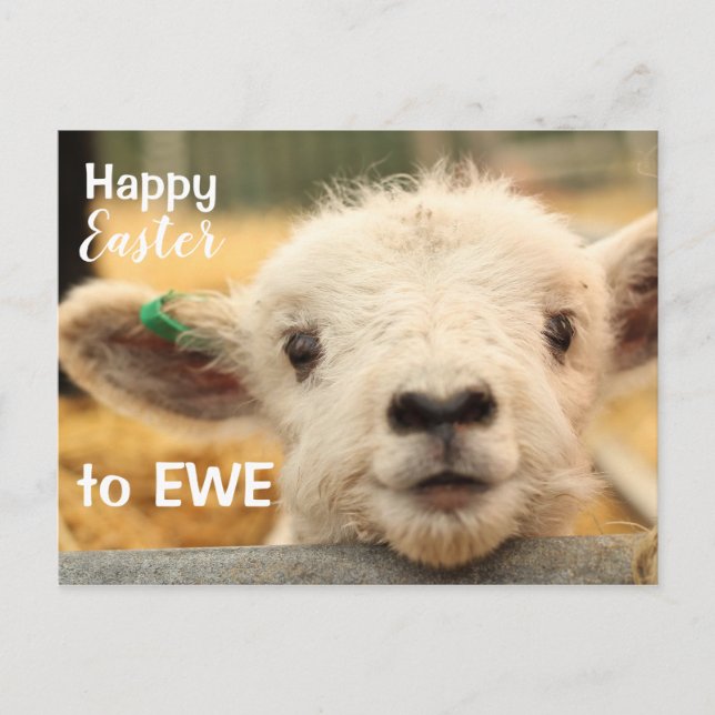 Postal Festiva Feliz Pascua a EWE. (Anverso)