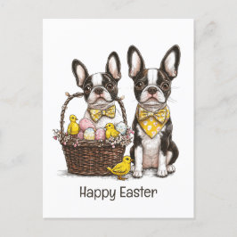 Postal Festiva Feliz Pascua Boston Terrier Dogs