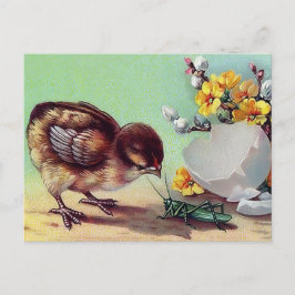 Postal Festiva Feliz Pascua. Chick vintage