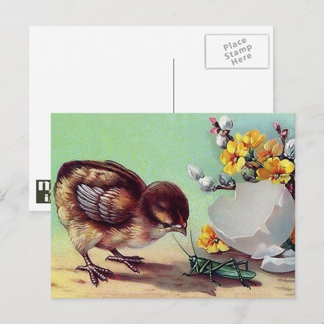 Postal Festiva Feliz Pascua. Chick vintage (Anverso / Reverso)