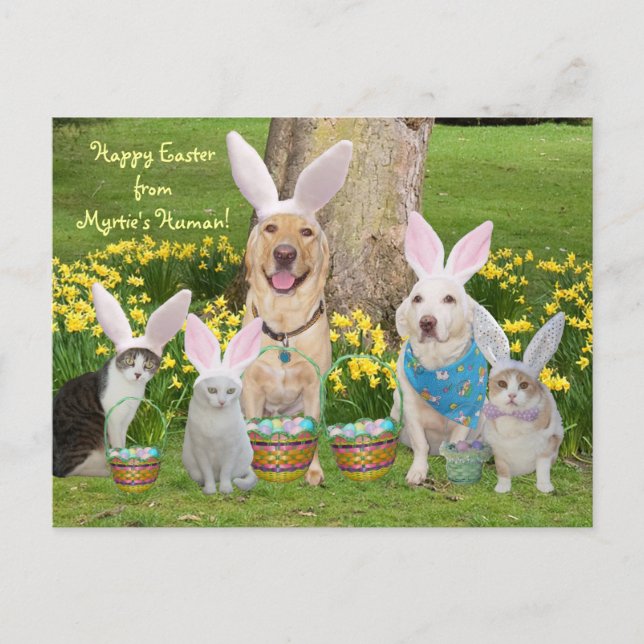 Postal Festiva ¡Feliz Pascua desde el humano de Myrtie! (Anverso)