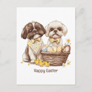 Postal Festiva Feliz Pascua Perros Shih Tzu