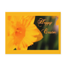 Feliz Pascua Primavera Amarilla Flor de Daffodil