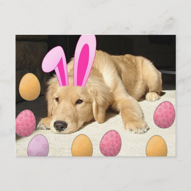 Postal Festiva Feliz recuperación de oro de Pascua (Anverso)