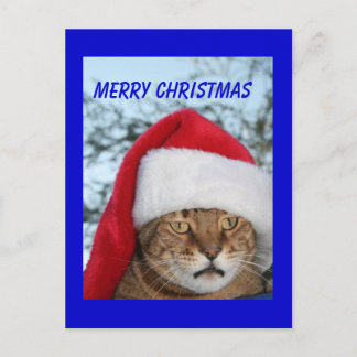 Postal Festiva FERRY CHRISTMAS Cat