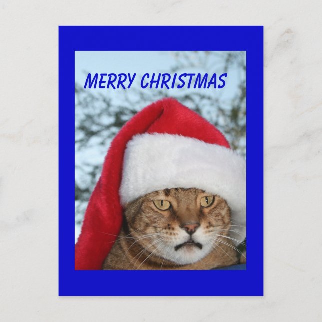 Postal Festiva FERRY CHRISTMAS Cat (Anverso)