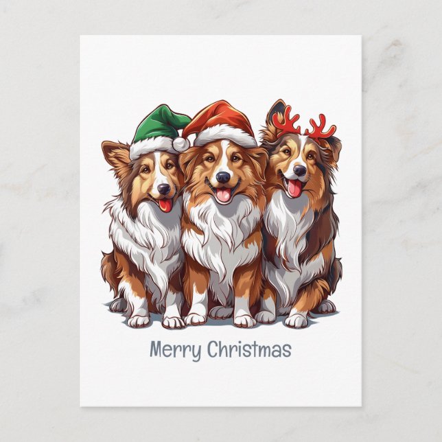 Postal Festiva Ferry Christmas Shetland Sheepdogs (Anverso)