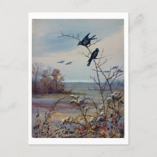 Postal Festiva Fidelia Bridges