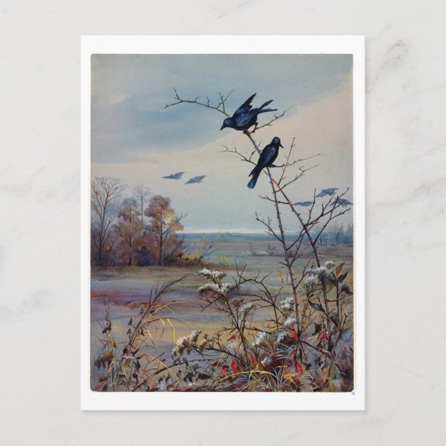 Postal Festiva Fidelia Bridges (Anverso)