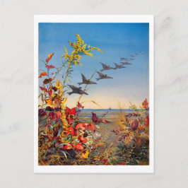 Postal Festiva Fidelia Bridges