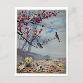 Postal Festiva Fidelia Bridges