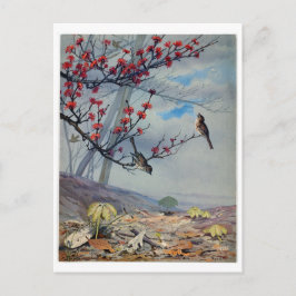 Postal Festiva Fidelia Bridges