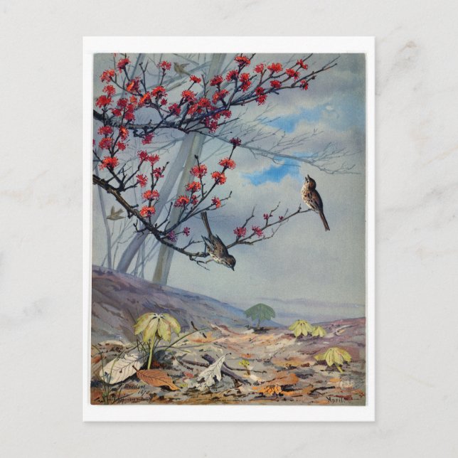 Postal Festiva Fidelia Bridges (Anverso)