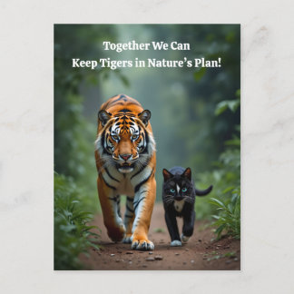 Postal Festiva Fierce Amigos felinos en el camino