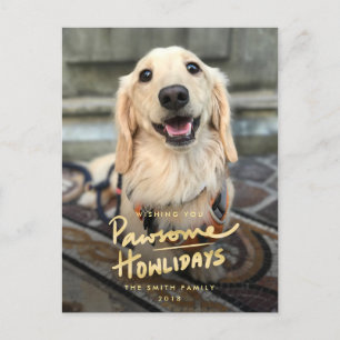 Postal Festiva Fiestas divertidas con perros con el castigo de fo