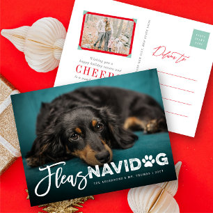 Postal Festiva Fleas Navidog Paw Print Dog Lover Foto Funny Masco