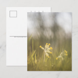 Postal Festiva Flor amarilla Caída en la naturaleza Foto