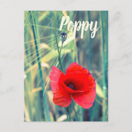 Postal Festiva Flor de amapola para jardineros y regalo de amante