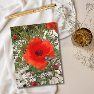 Postal Festiva Flor de Amapola Roja Portugal Fotografía, Viaje