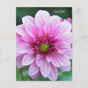 Postal Festiva Flor de Dahlia. Buena suerte