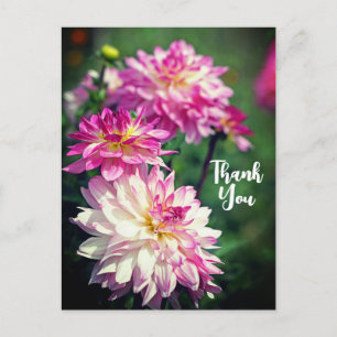 Postal Festiva Flor de Dahlia rosa y blanca gracias