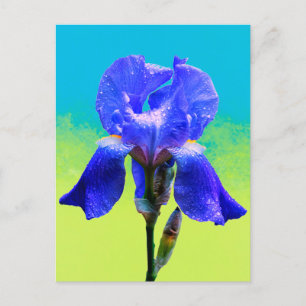 Postal Festiva Flor de iris