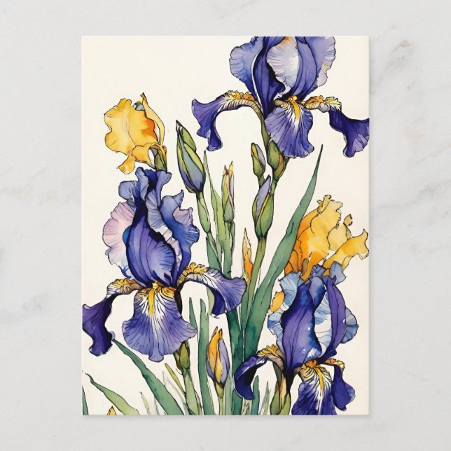 Postal Festiva Flor De Iris Púrpura (Anverso)