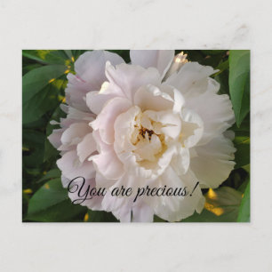 Postal Festiva flor de peonía