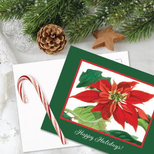 Postal Festiva Flor de poinsettia botánica