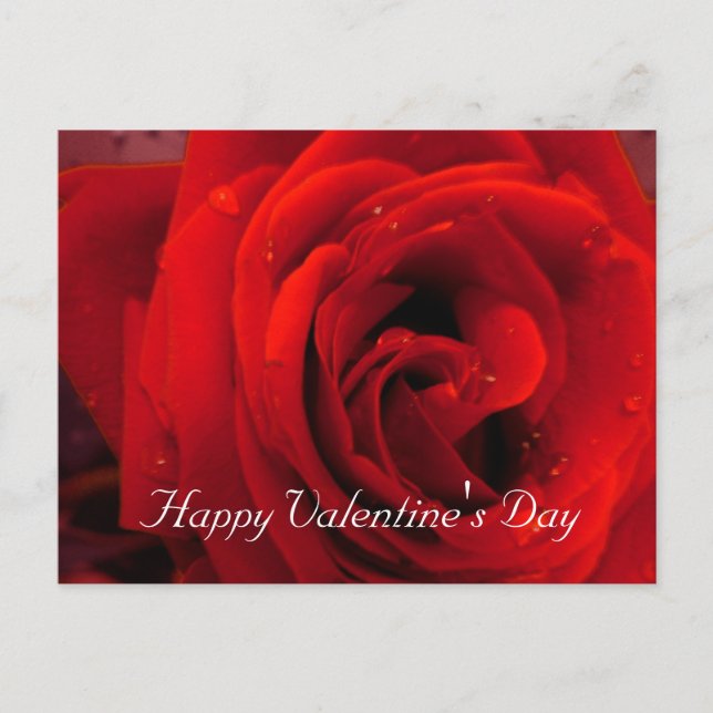 Postal Festiva Flor de rosa roja (Anverso)