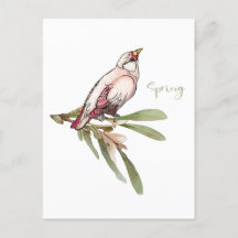 Flores de primavera. Nevadas.