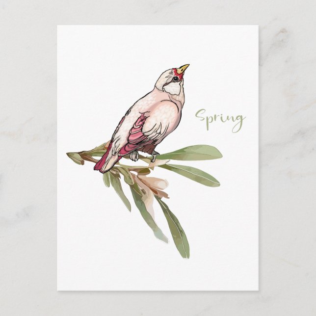 Postal Festiva Flores de primavera. Nevadas. (Anverso)