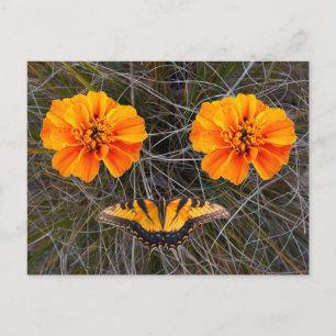 Postal Festiva Flores naranjas y mariposa amarilla