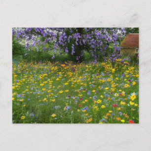 Postal Festiva Flores silvestres con una cabaña en el campo