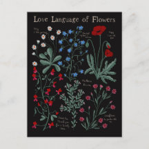 Floriografía Lengua de amor de flores botánica