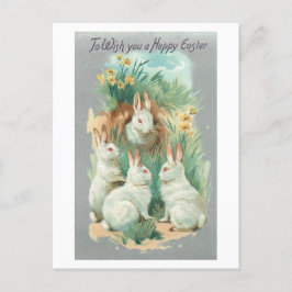 Postal Festiva Fluffy White Vintage Easter Bunnies