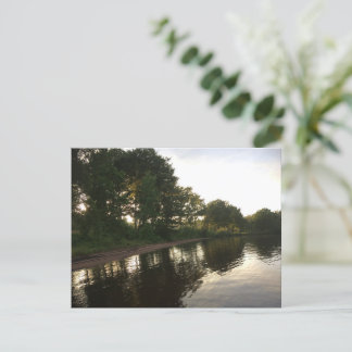 Postal Festiva Forest Summer Beach