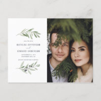 Foto de follaje de la rama de olivo moderna except