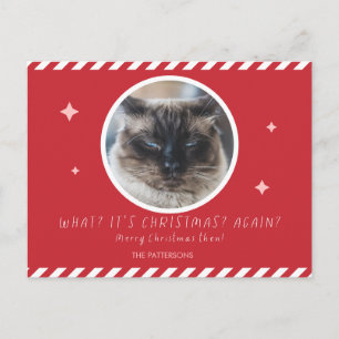 Postal Festiva Foto de Grumpy Cat divertido nombre de familia roj