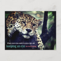 Foto de jaguar perezoso en árbol