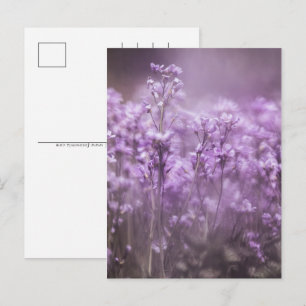 Postal Festiva Foto de la naturaleza de la flor cubana