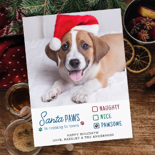 Postal Festiva Foto de Mascota de Perro travieso de Santa Paws
